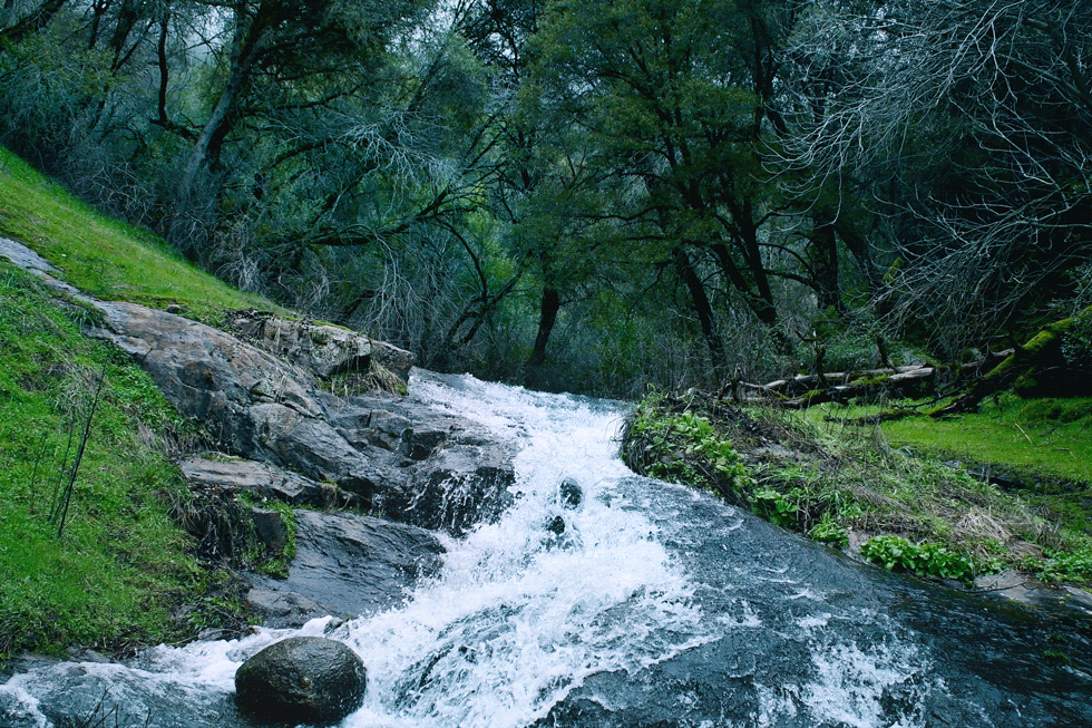 Oggi è la Giornata Mondiale dell’Acqua (World Water Day) 2025: “Conservazione dei ghiacciai”